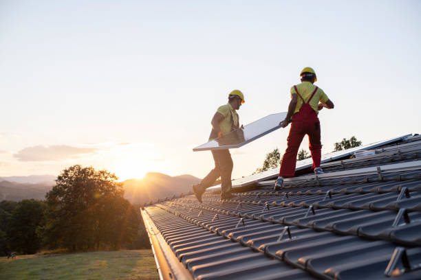 Best Metal Roofing Installation  in Wood Dale, IL