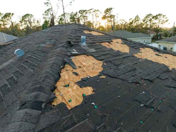 Best Roofing for New Construction  in Wood Dale, IL