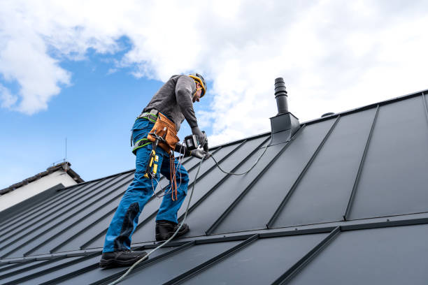 Best Rubber Roofing (EPDM, TPO)  in Wood Dale, IL
